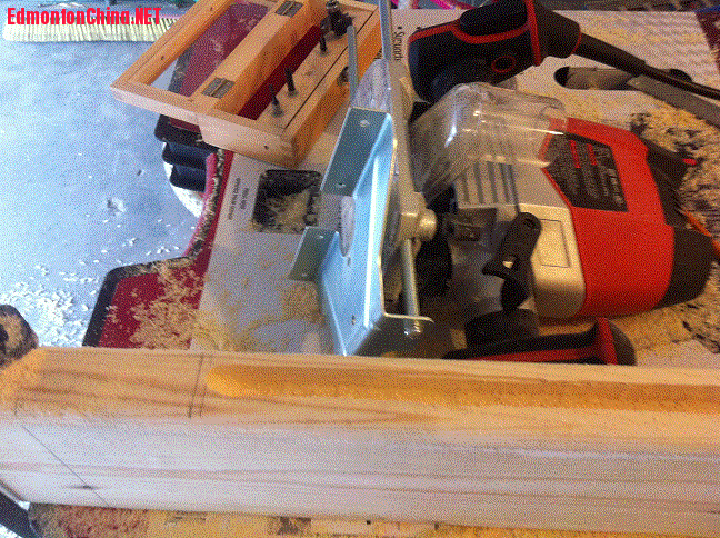 IMG_2115.gif