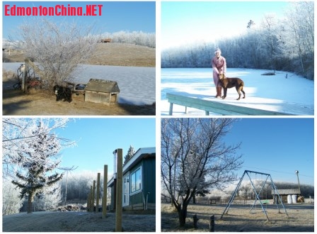 ranch2.jpg