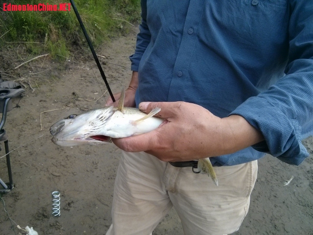 IMG_20140804_182516 (640x480).jpg