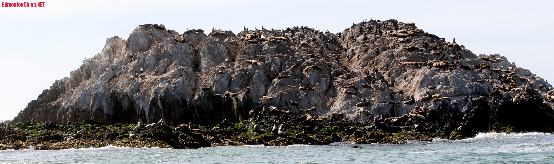 Sea Lion Rock, Carmel, Monterey 
