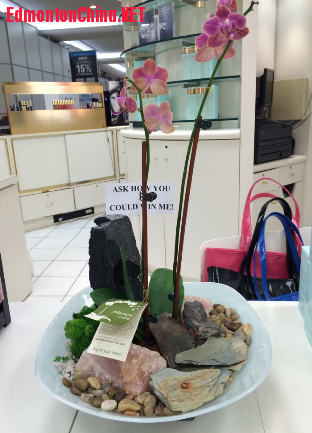 QQ截图20150420094449.png