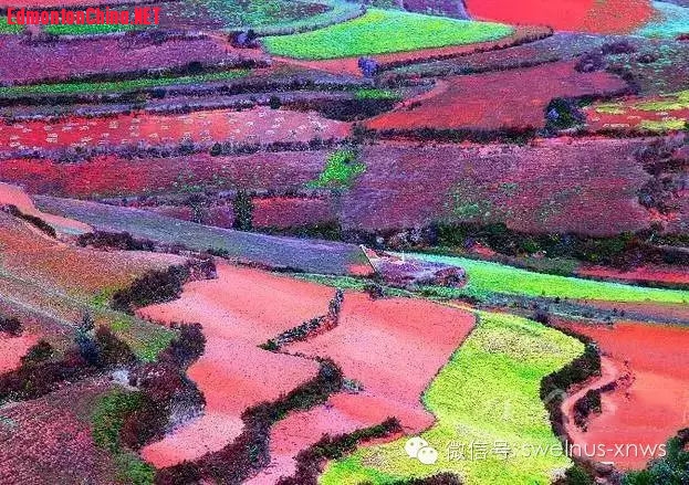 五彩云南5.jpg