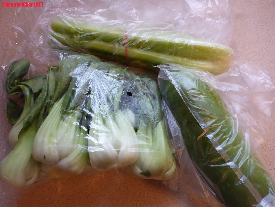smallP1000172.jpg