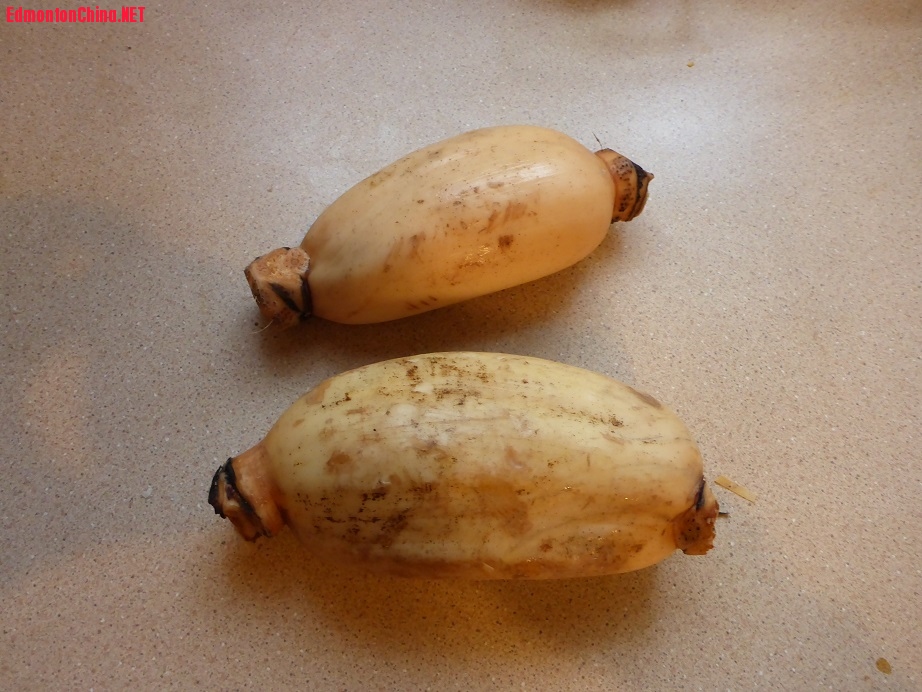 smallP1000173.jpg