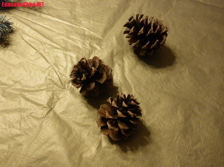 smallP1000201.jpg