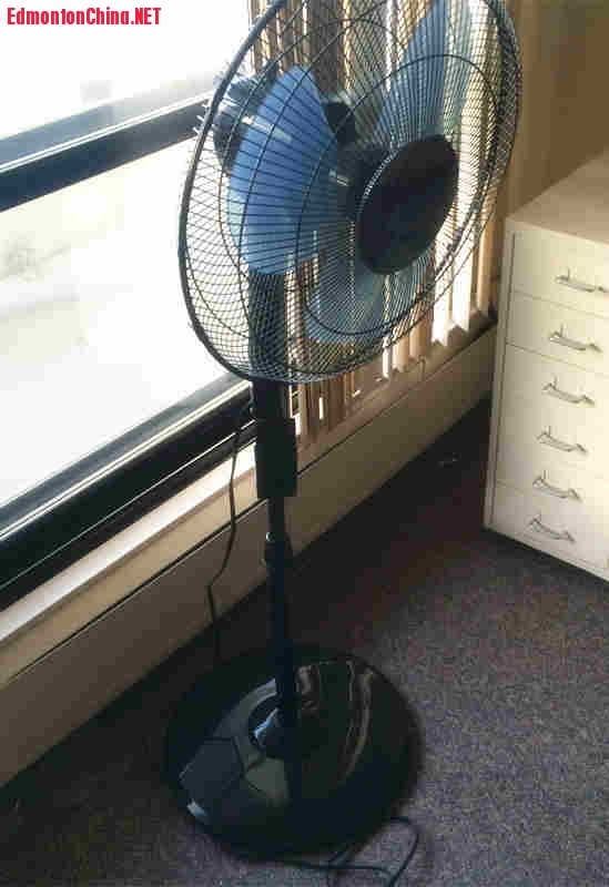 ����ȣ�10��