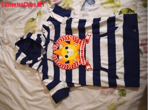 �������ٷ���������