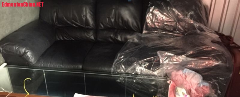 ��Ƥɳ��$650