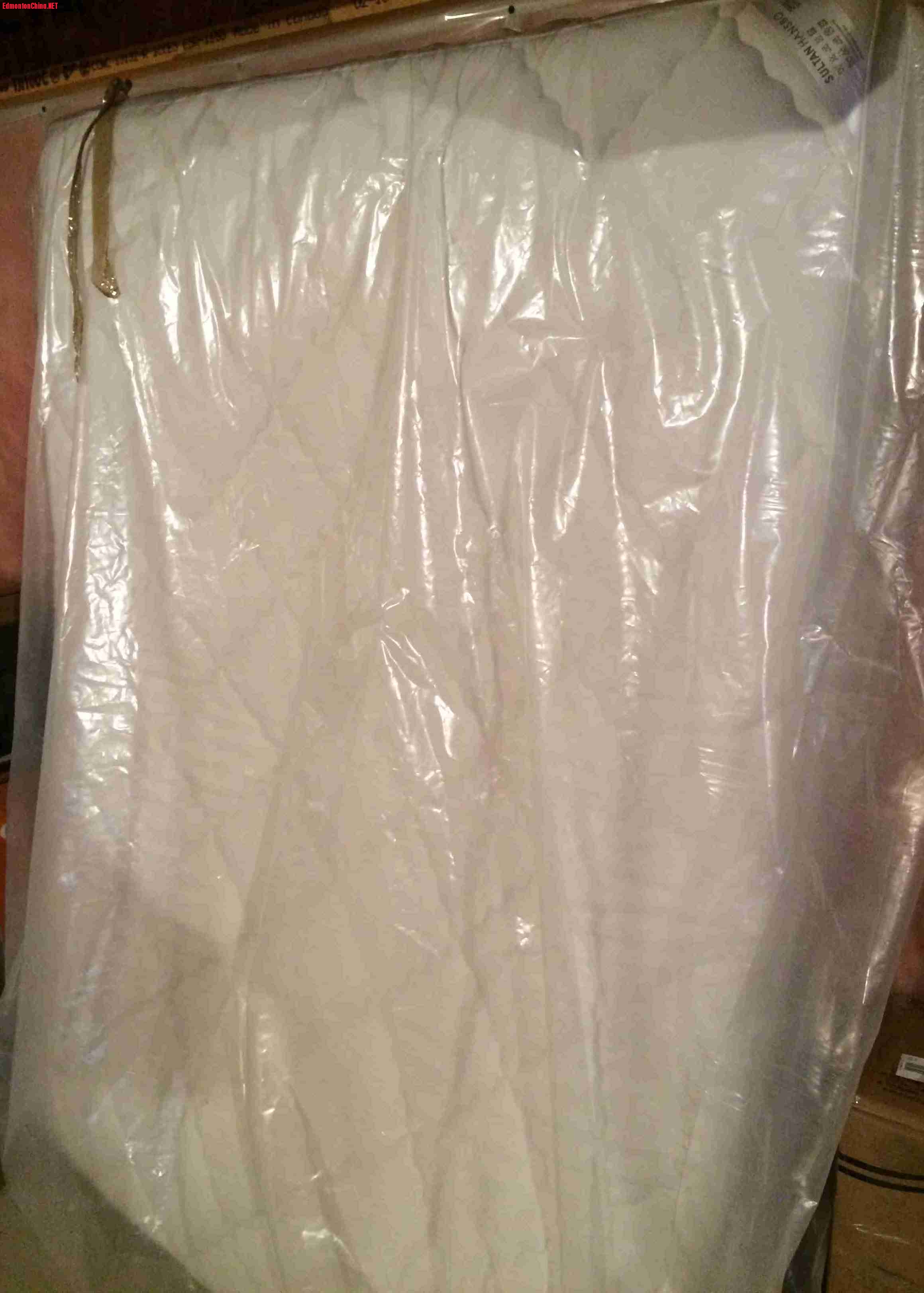 QUEEN size �˳��� 120����ԭ��399��