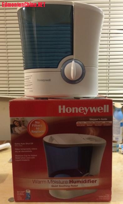 ��ʪ����$20��