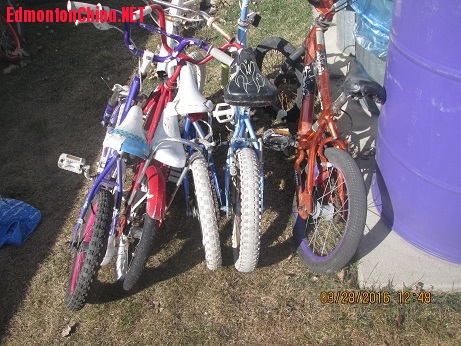 16�絥��(5��) 003.JPG