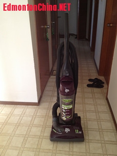 ǿ��������