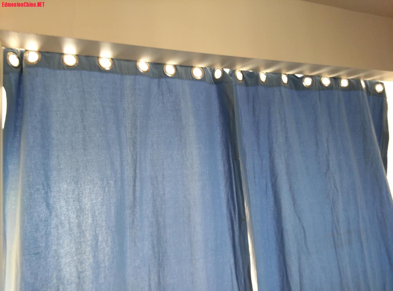 ��ɫ����