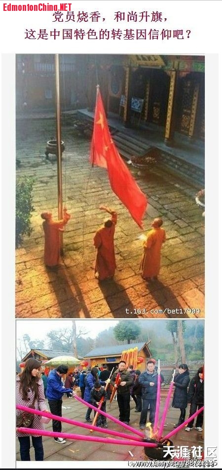 image.jpeg