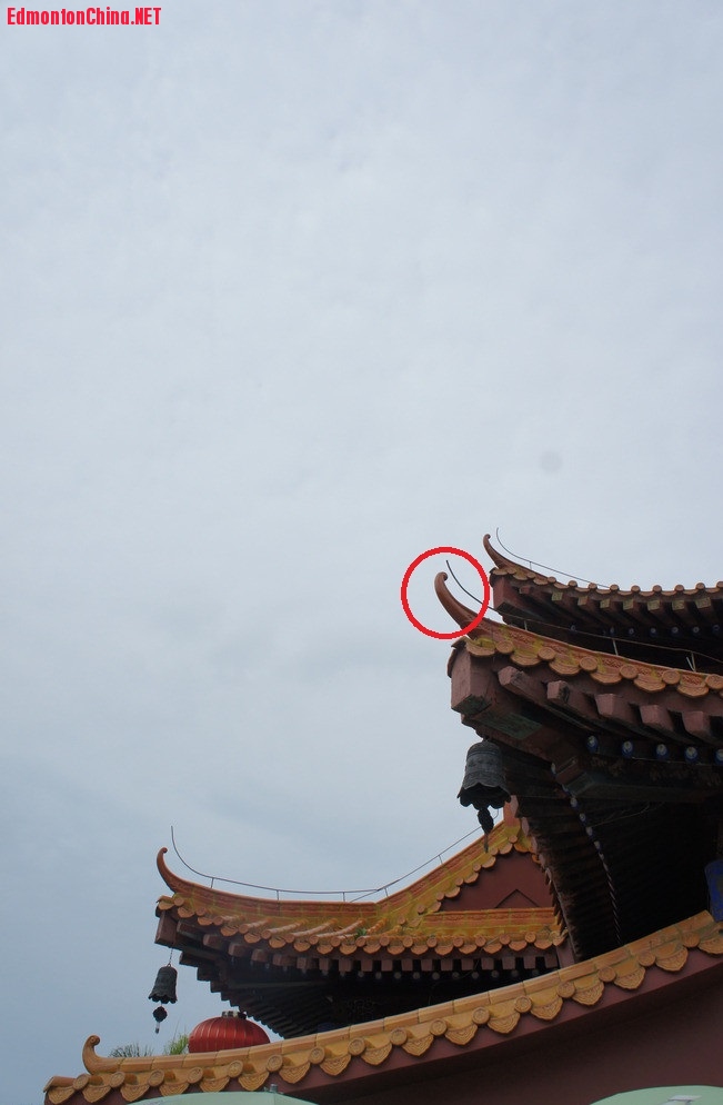 g.jpg