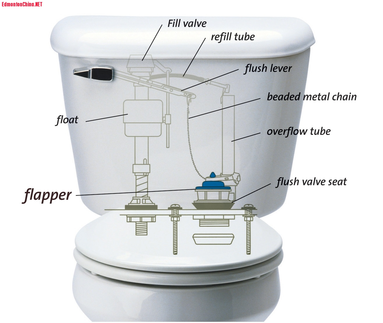 fix-a-flapper-on-a-toilet.jpg