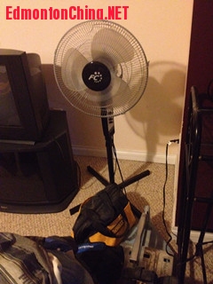 �����ÿ��$15