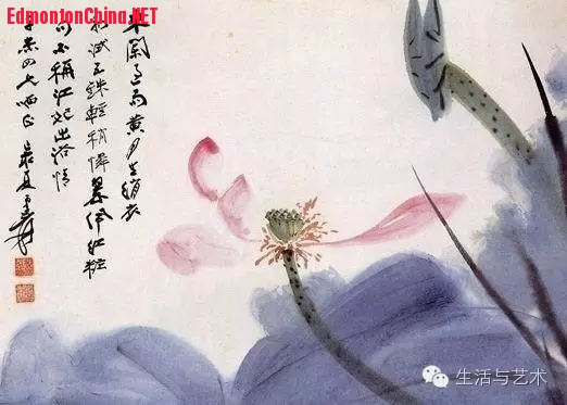 张大千先生画《荷花》.jpg