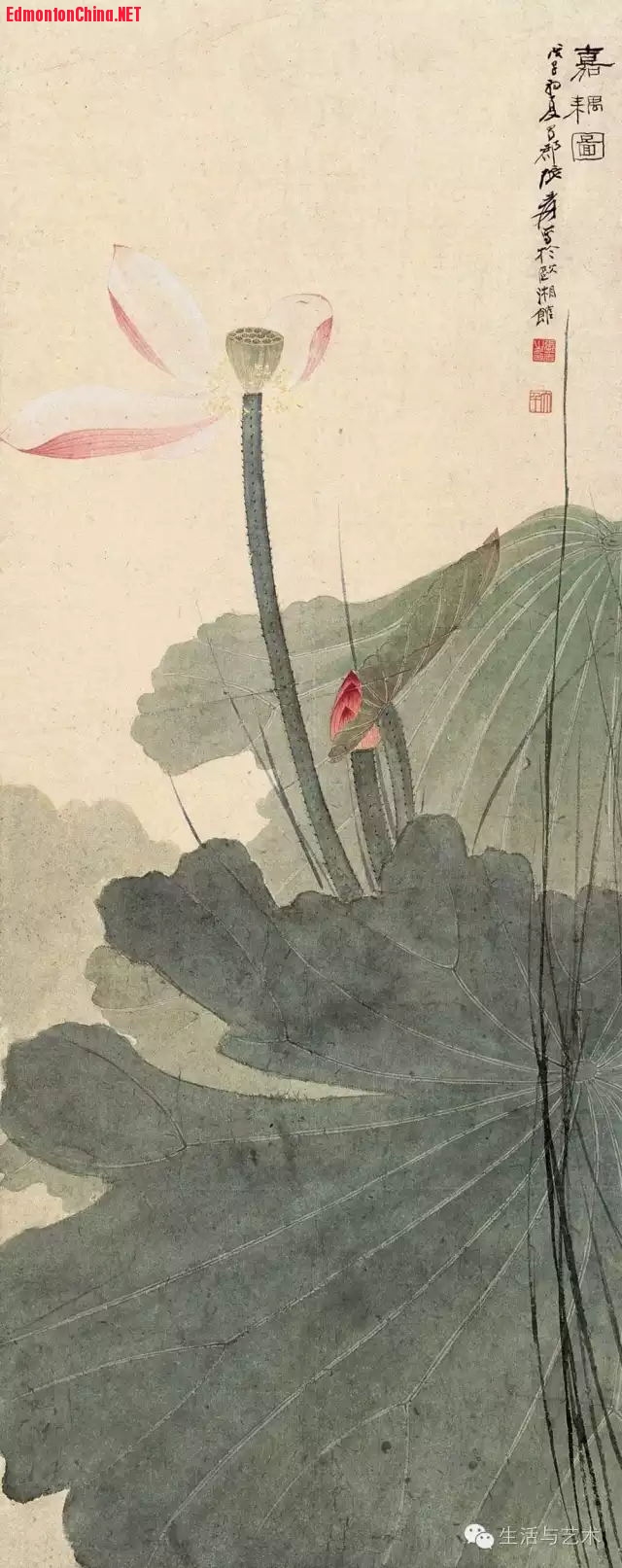 张大千先生画绿叶《荷花》1.jpg