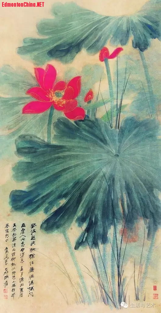 张大千先生画绿叶《荷花》2.jpg