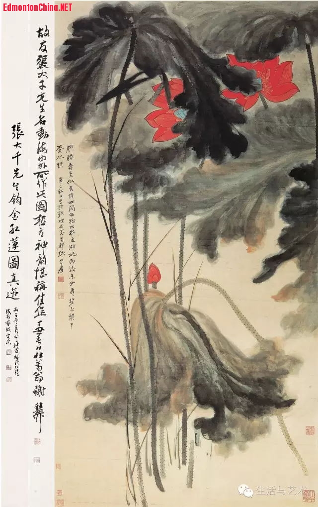 张大千先生画水墨《红荷花》1.jpg