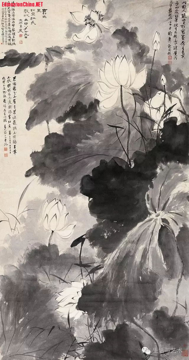 张大千先生画水墨白《荷花》2.jpg