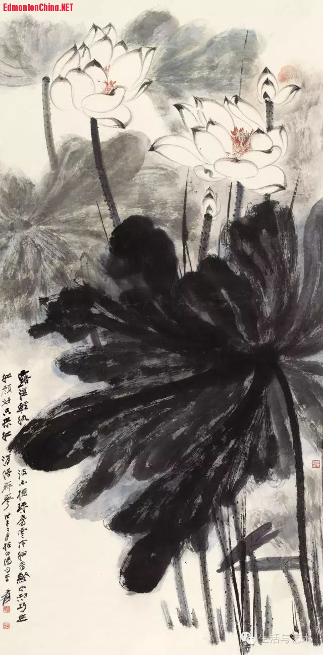 张大千先生画水墨白《荷花》3.jpg