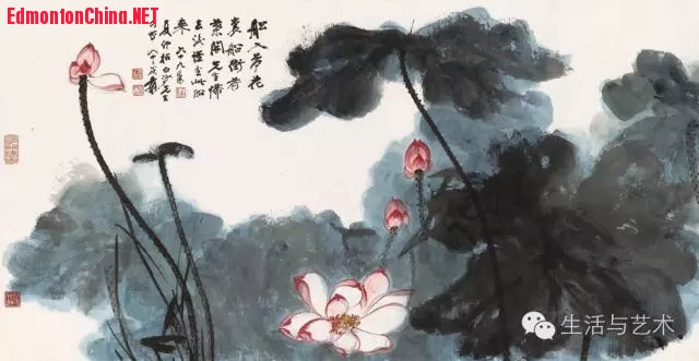 张大千先生画水墨粉《荷花》1.jpg