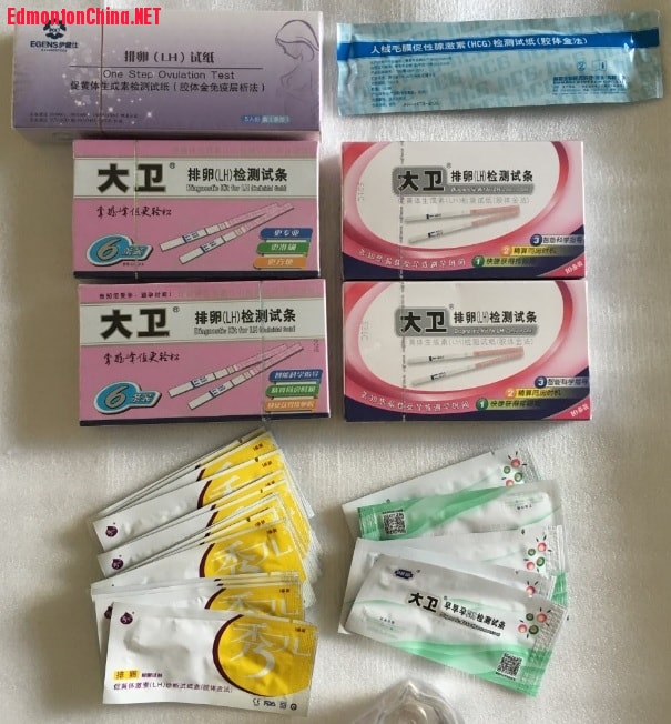 ����������ֽ