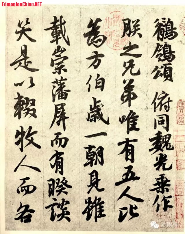 唐 李治（唐高宗）《鹡鸰颂》.jpg