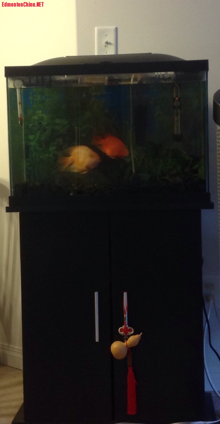 �~��һ�ף�������1���Bֳ3����W�^�~$200