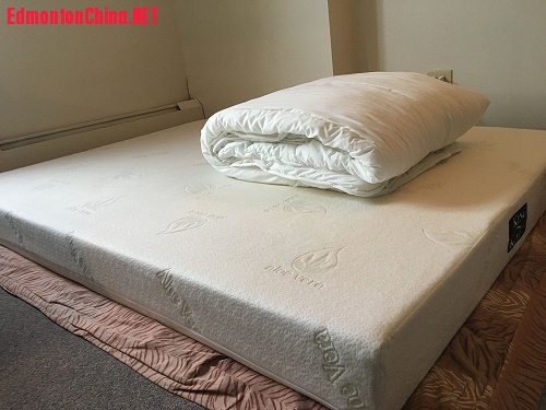 ����+����