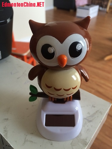 6 ̫��������.JPG