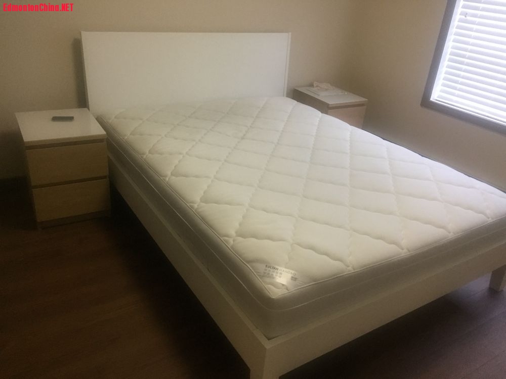 ���� 2��ͷ��.jpeg