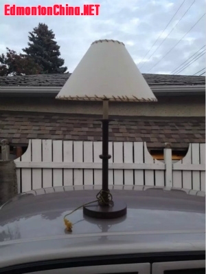 ̨��$10(�����ݣ�