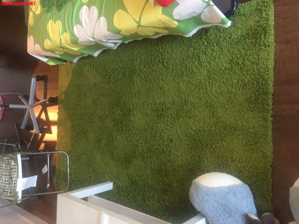 ��������������������