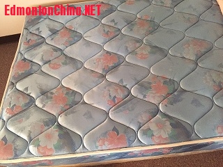 �� 80�� ״������