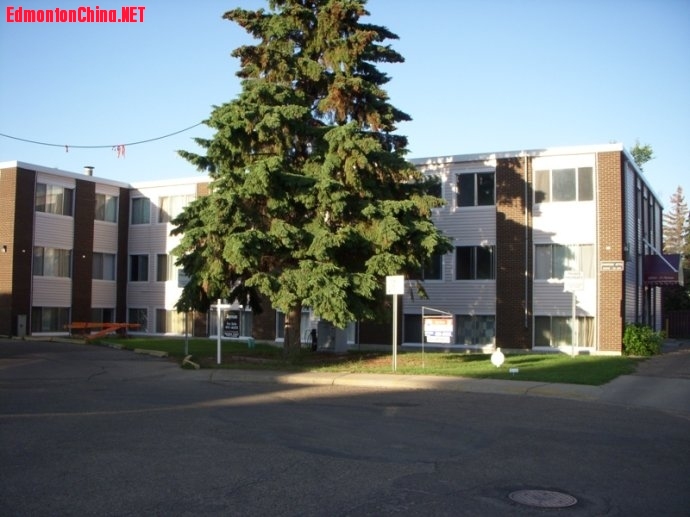 211134ox1fm9mqu9qaq09u.jpg