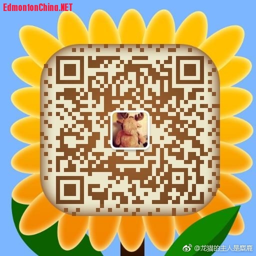 803dd06egy1fdronru9nwj20e80e8q3a.jpg