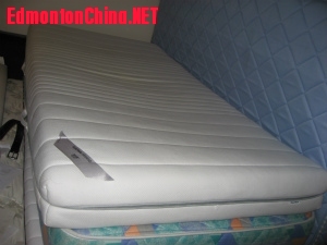 ���˴���+����$100