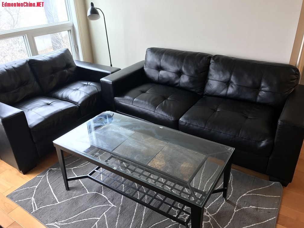 ����Ƥɳ���������輸 һ��300Ԫ.JPG