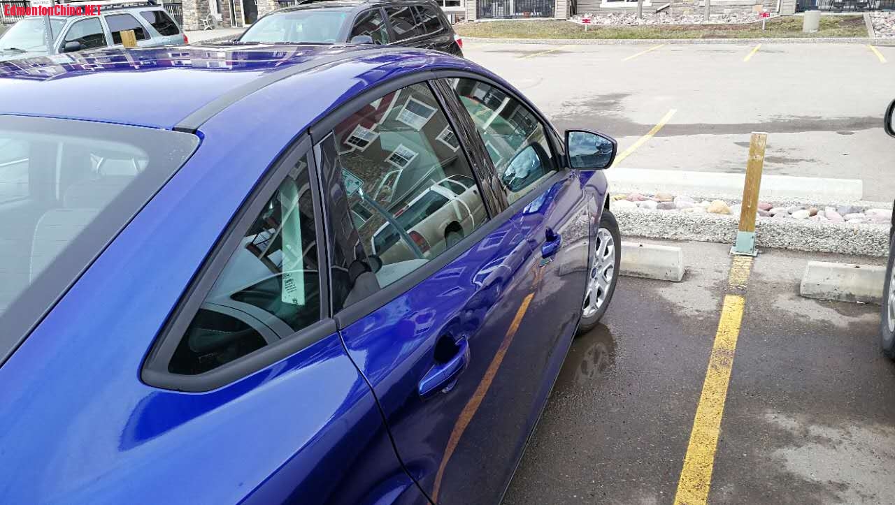 WeChat Image_20170402113228.jpg