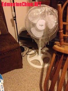 ��ɫ��ط���$15