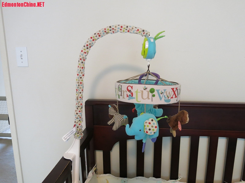 GracoʵľӤ����