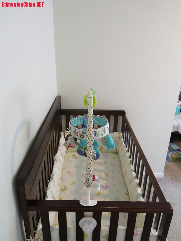 GracoʵľӤ����