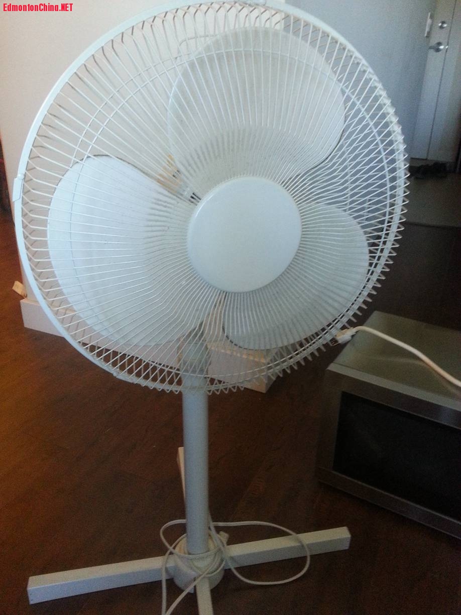 ����-10��