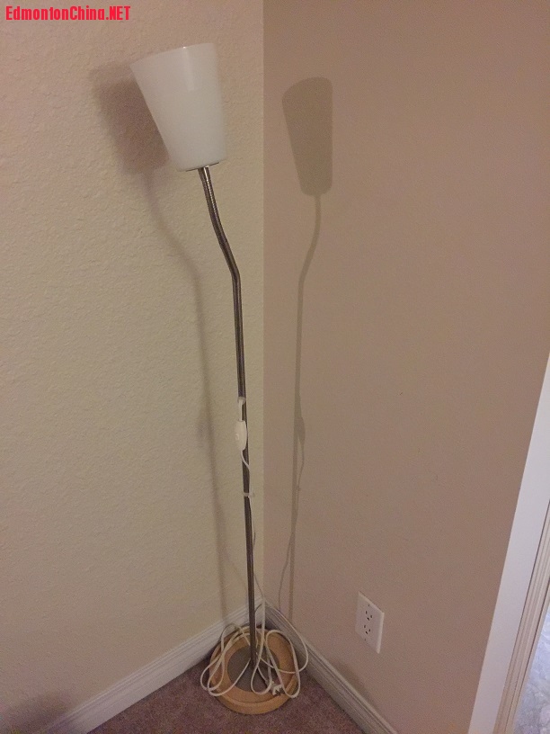 floor lamp.jpg