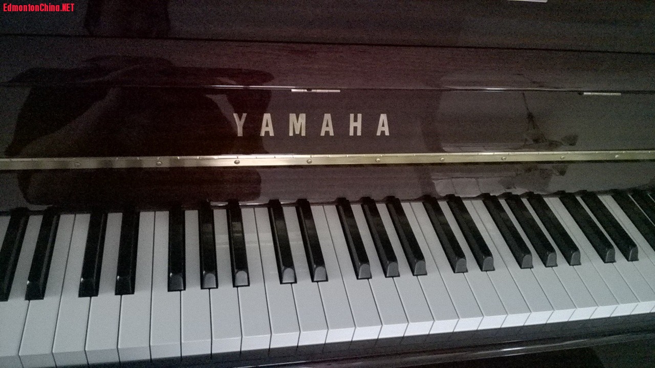 ʹ�ù�������