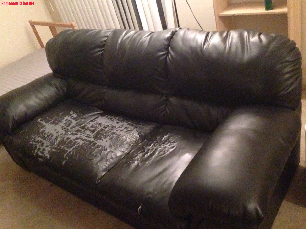 ɳ������Щ��Ƥ���̸������������ǳ�����������