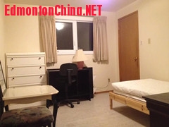 ��׼����1��